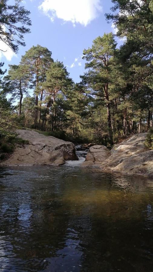 Vakantieboerderij Eco Urbion *