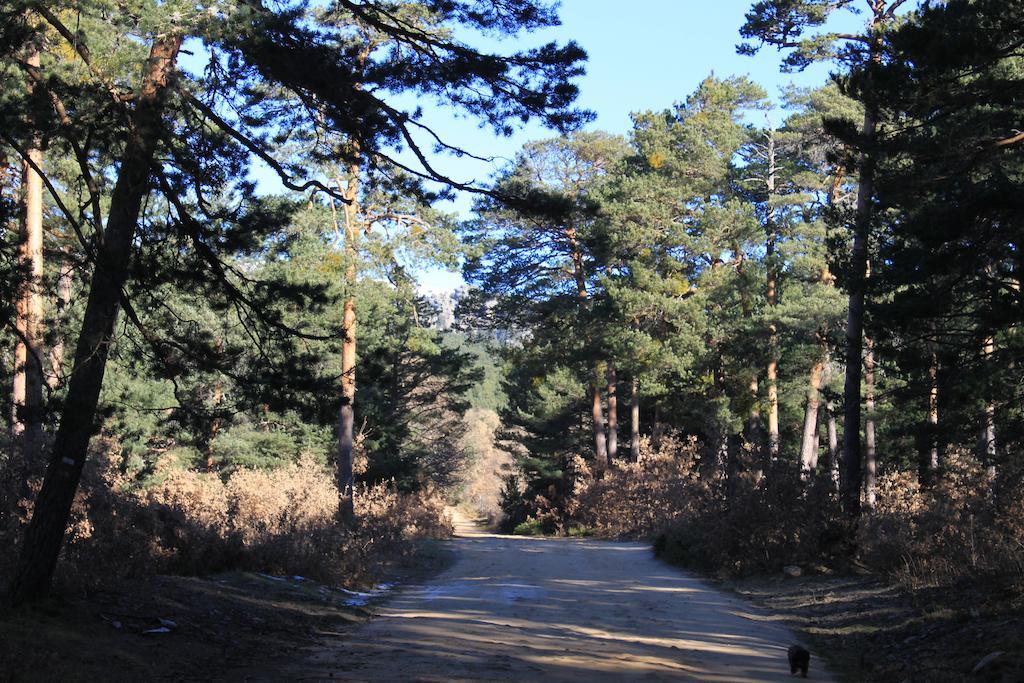 Vakantieboerderij Eco Urbion Duruelo de la Sierra