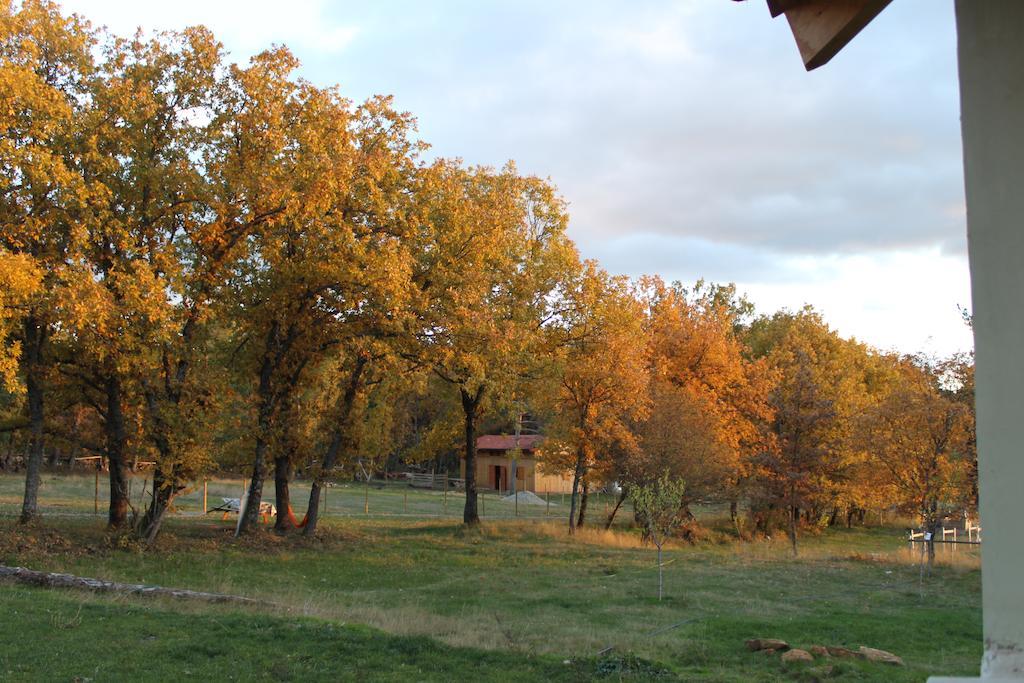 Vakantieboerderij Eco Urbion *