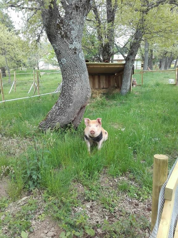 Vakantieboerderij Eco Urbion Duruelo de la Sierra