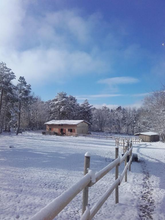 Vakantieboerderij Eco Urbion *