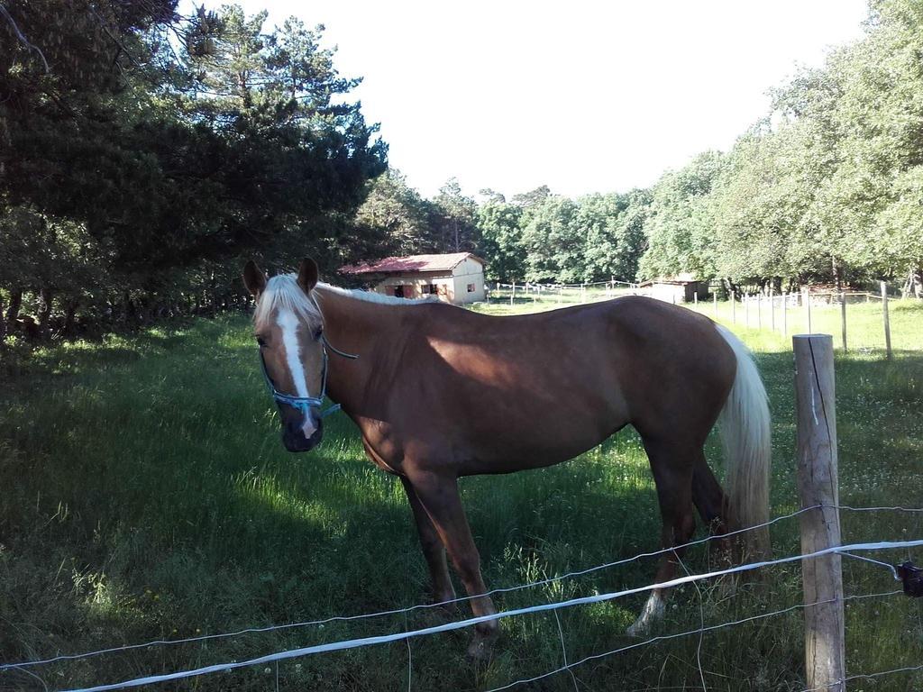 Vakantieboerderij Eco Urbion