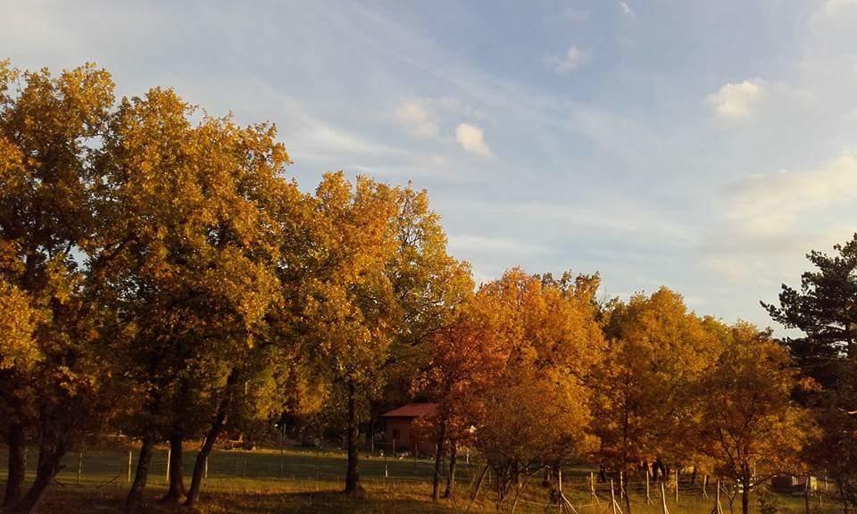 Vakantieboerderij Eco Urbion Duruelo de la Sierra